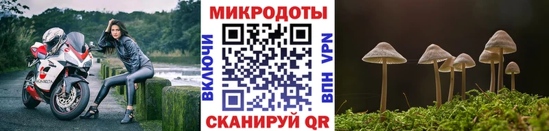 где продают наркотики  Артём  Галлюциногенные грибы мухоморы 